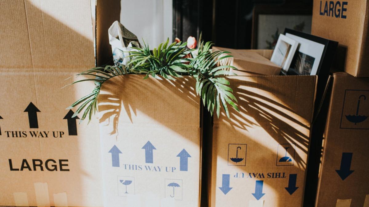 ¿Qué es el seguro de contenido? - Seguro de hogar