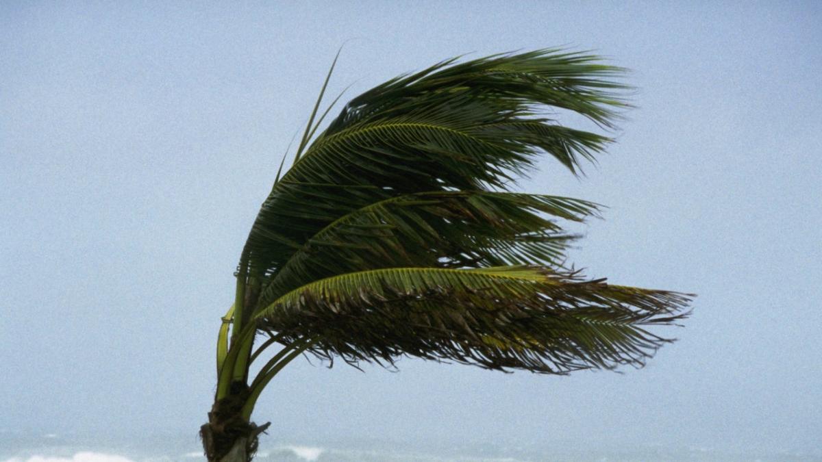 Seguro contra tormentas de viento - Seguro de hogar