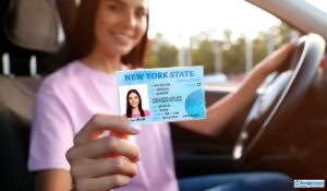 licencia de conducir nueva york