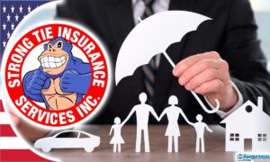 el chango insurance
